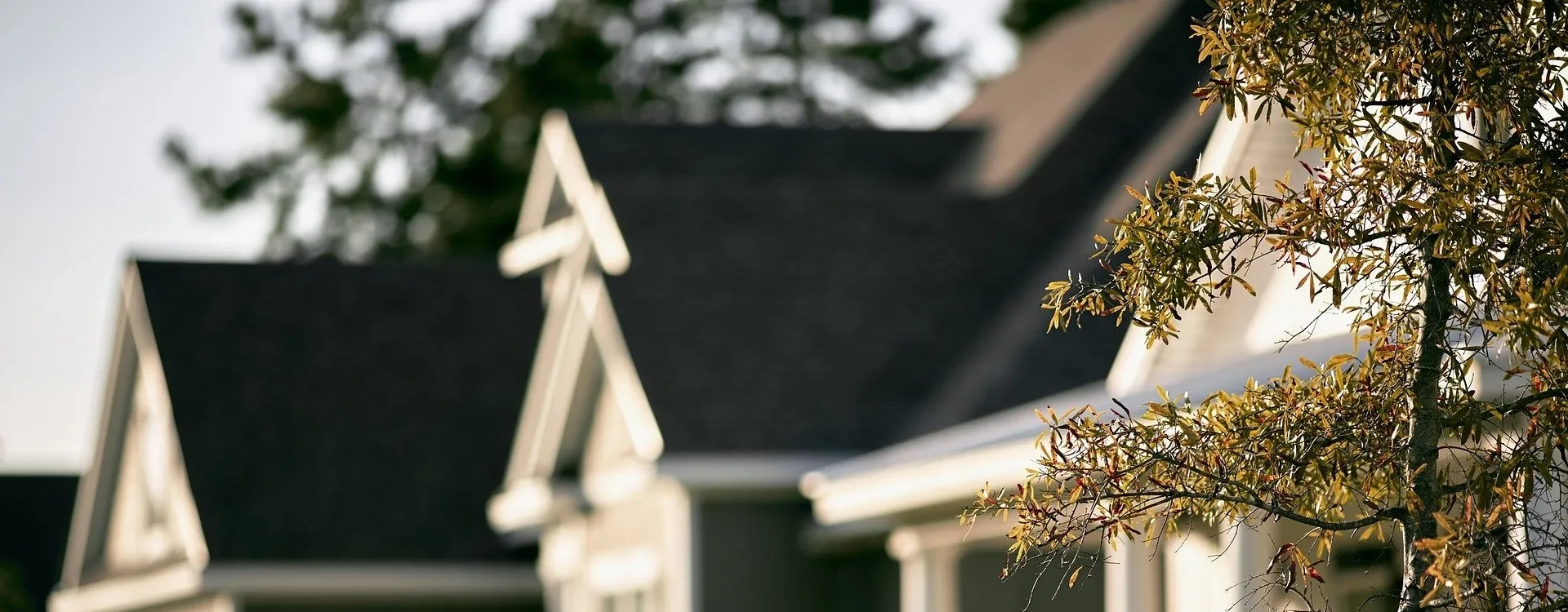 charming rooftops and treetops.